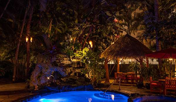 Pool - Bamboo Waikiki Hotel Honolulu