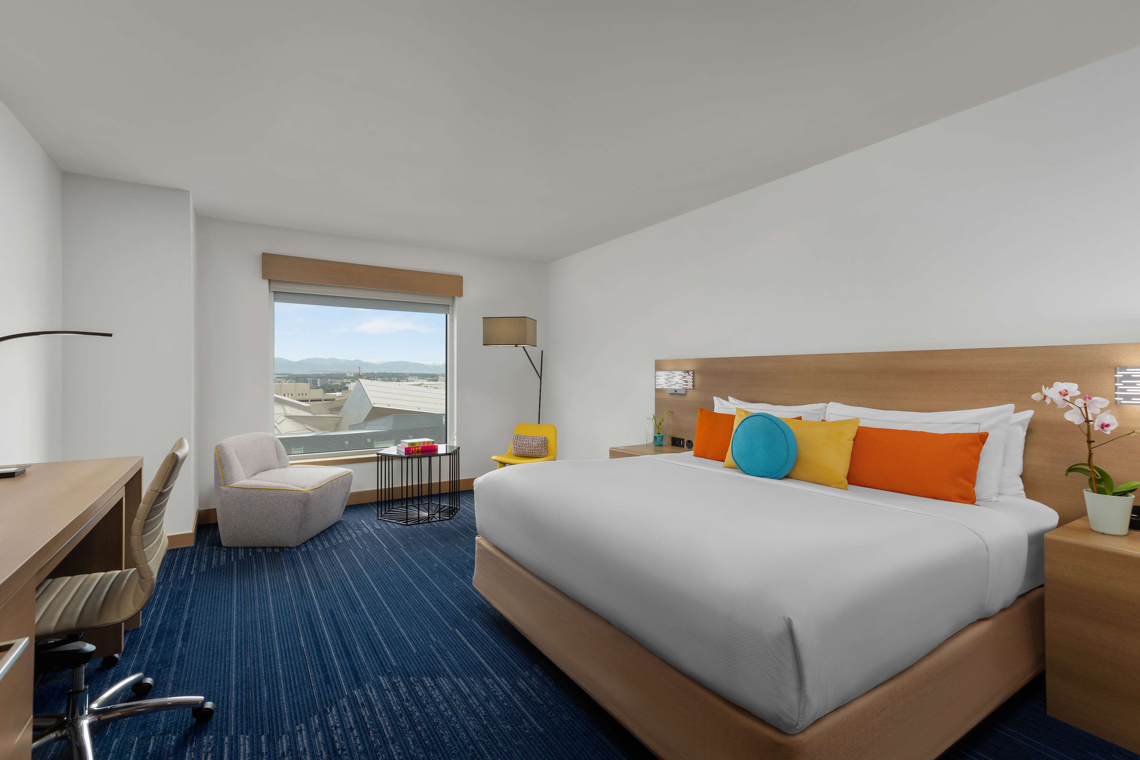 The Art Hotel Denver, Curio Collection by Hilton Room Type - 1KG BED DELUXE MOUNTAIN VW