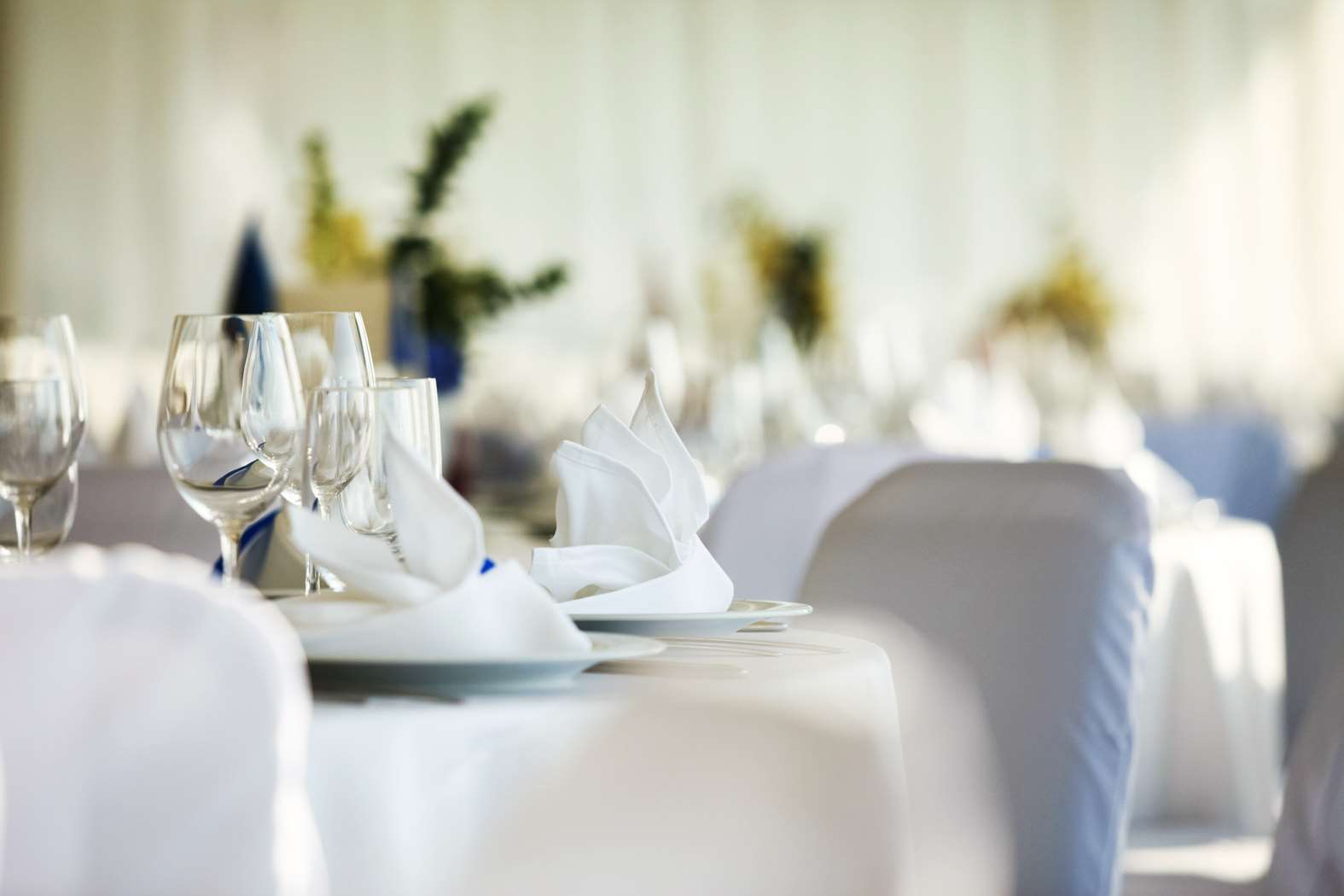 Wedding Set Up