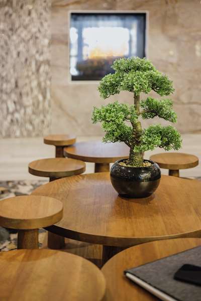  - Hotel Trilogy Albany Airport Latham - I-87, Exit 4