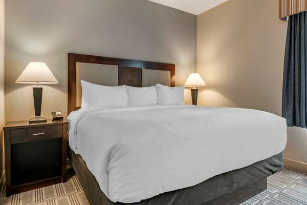 Suite - Comfort Inn & Suites Port Charlotte