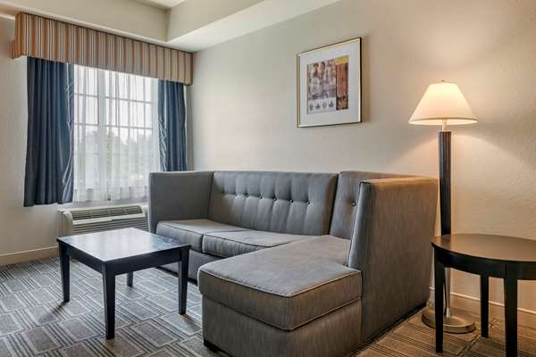 Suite - Comfort Inn & Suites Port Charlotte