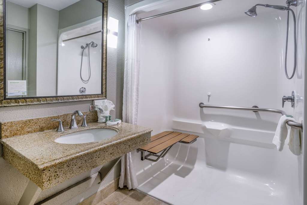 BAYMONT LA VERGNE/NASHVILLE-guestroom-Guest Room,Bathroom,Shower,Accessibility,On-Site.jpg