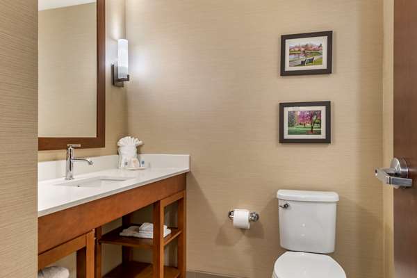 Suite - Comfort Suites Camp Hill