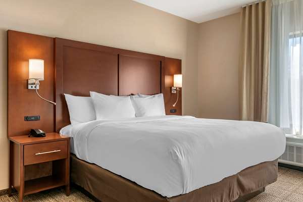 Suite - Comfort Suites Camp Hill