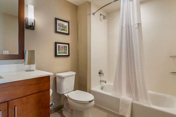 Suite - Comfort Suites Camp Hill