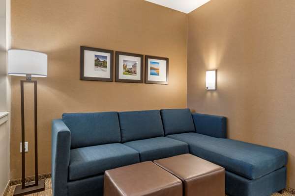 Suite - Comfort Suites Camp Hill