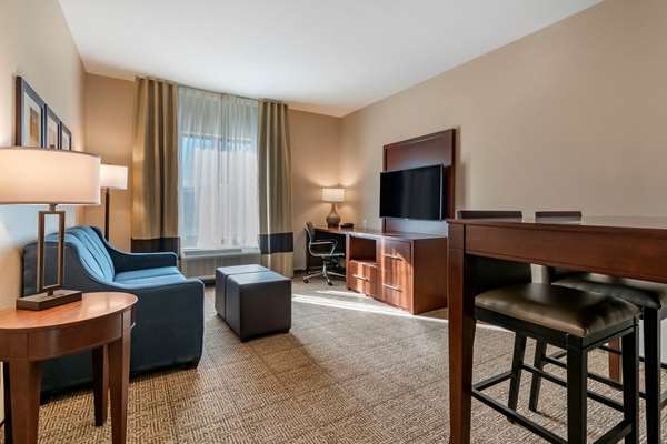 Suite - Comfort Suites Camp Hill