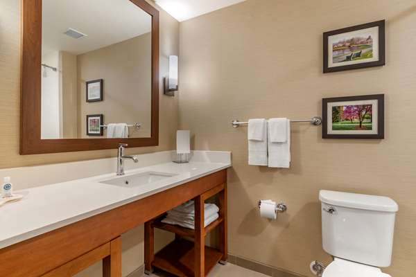 Suite - Comfort Suites Camp Hill
