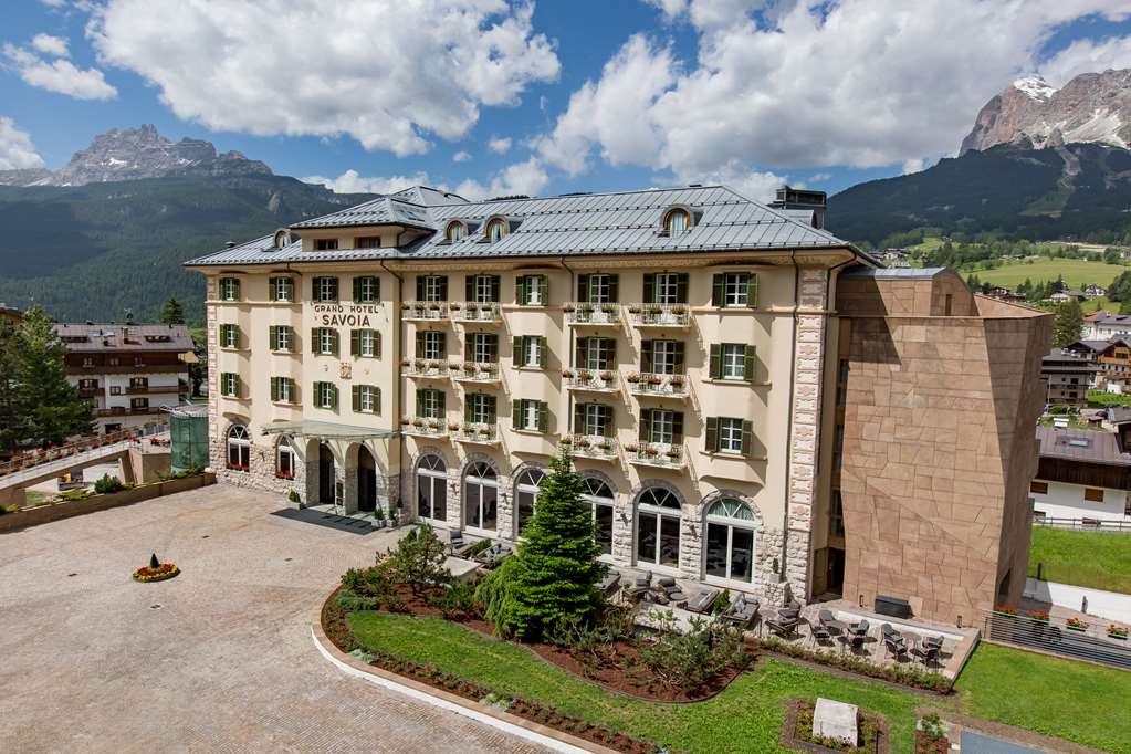 Guest photo