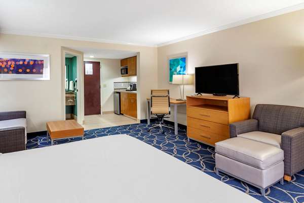 Suite - Comfort Inn & Suites West Energy Corridor Houston - I-10, Exit 753