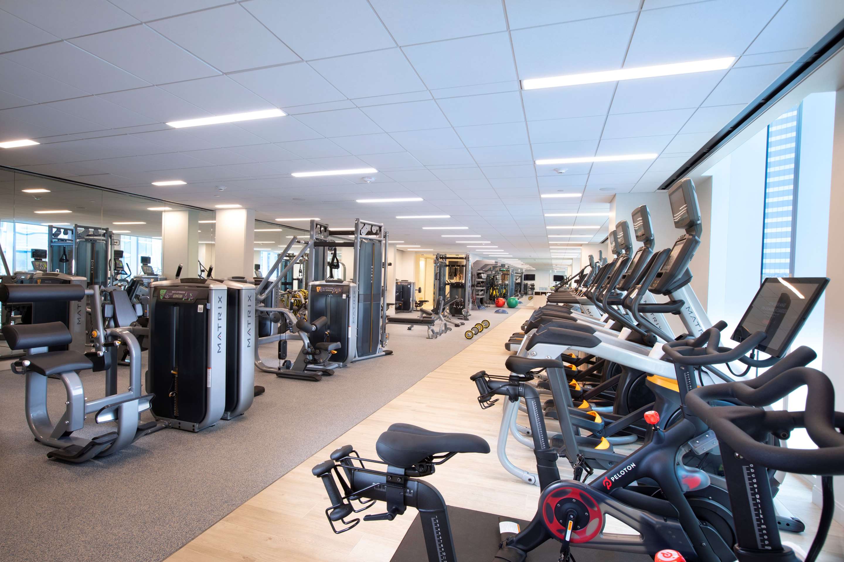 Health club fitness center gym