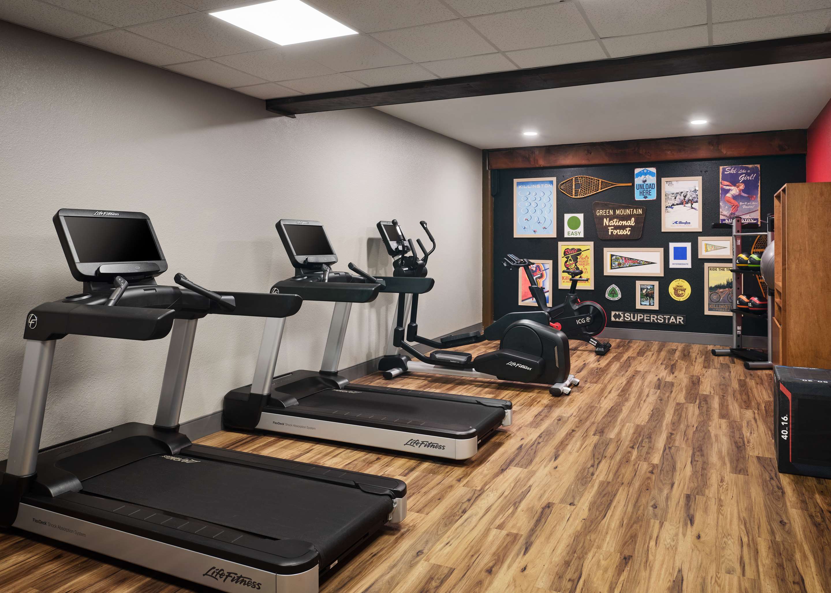 Health club fitness center gym