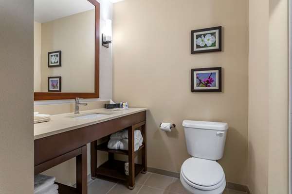  - Comfort Inn & Suites Waller