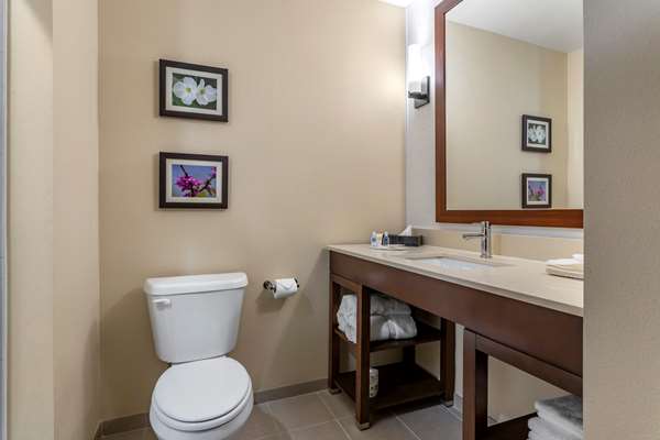  - Comfort Inn & Suites Waller