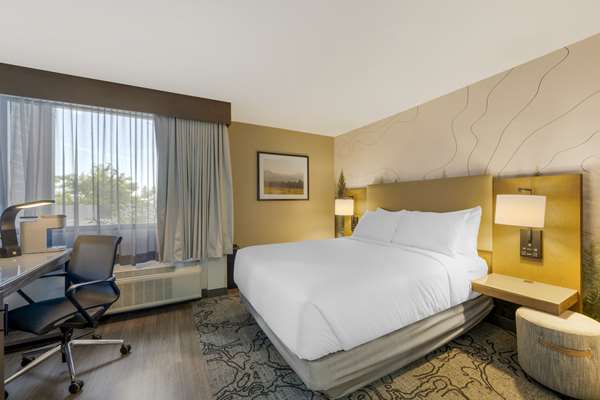 Accessible - 1 Queen, Mobility Accessible, Communication Assistance, Bathtub, Pillow Top Mattress, Microwave And Refrigerator, Non-Smoking