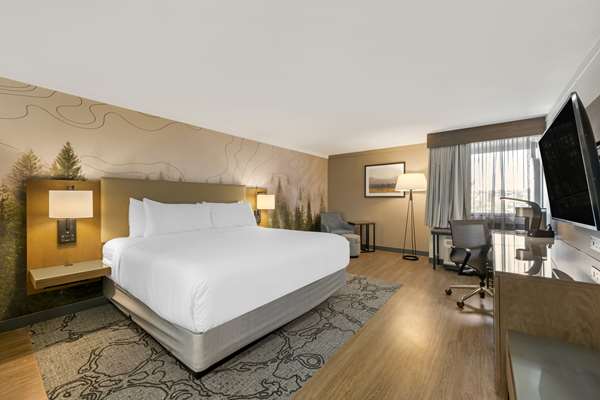 Accessible - 1 King, Mobility Accessible, Communication Assistance, Roll In Shower, Pillow Top Mattress, Microwave And Refrigerator, Non-Smoking