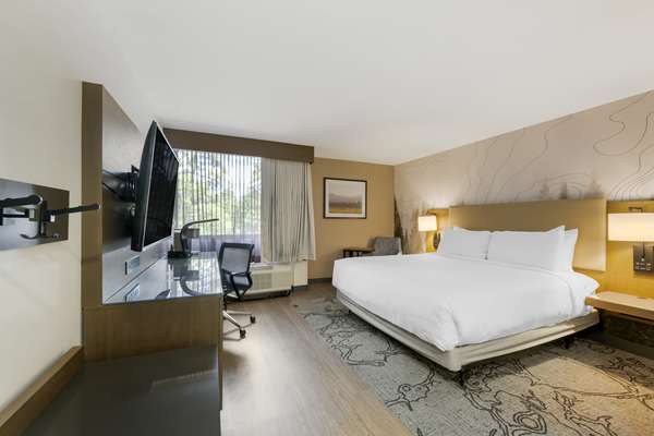 Accessible - 1 King, Mobility Accessible, Communication Assistance, Roll In Shower, Pillow Top Mattress, Microwave And Refrigerator, Non-Smoking