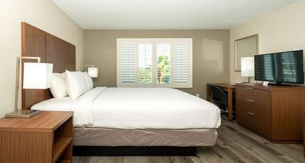 Suite - Best Western Houston Bush Intercontinental Airport Inn Humble - I-69, Exit 147