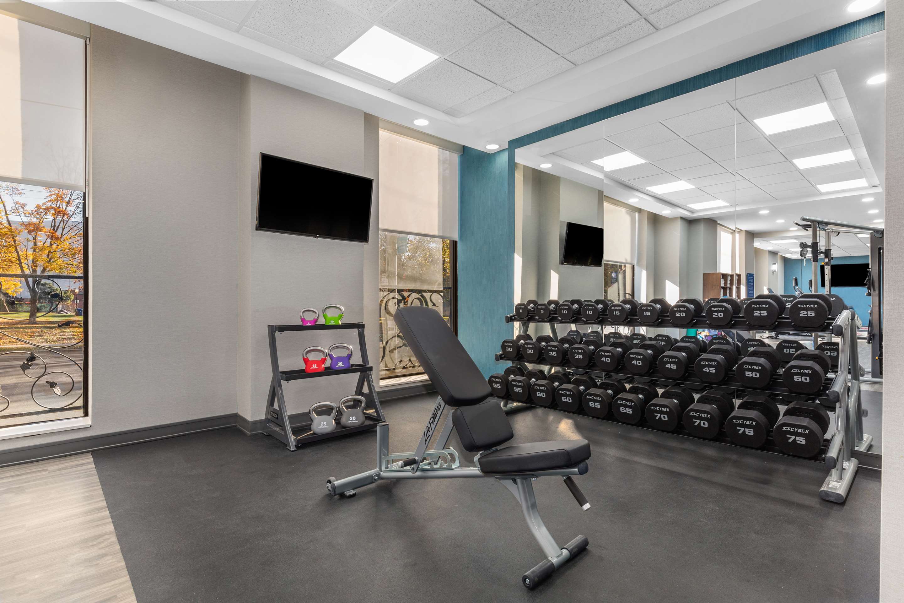 Health club fitness center gym