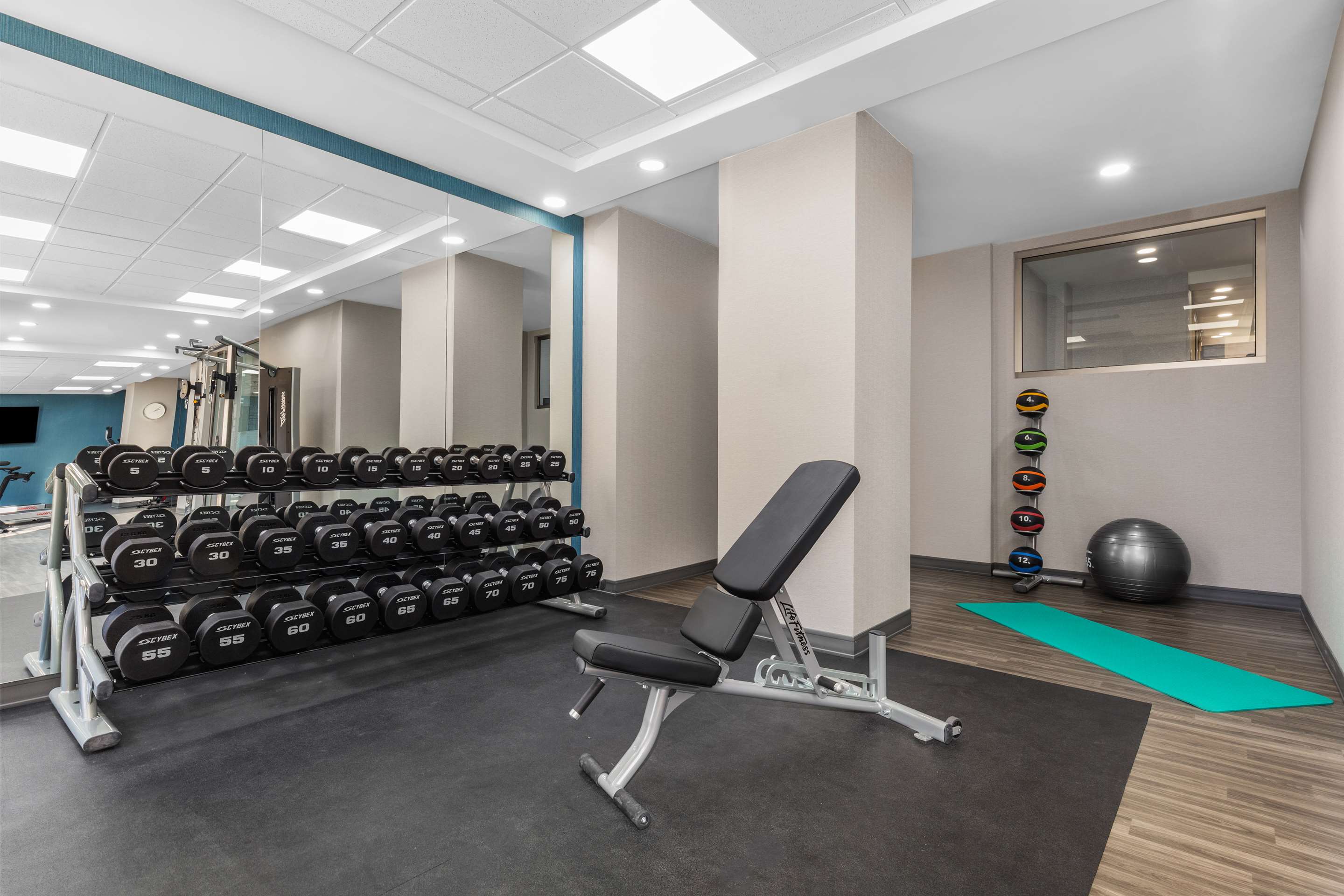 Health club fitness center gym