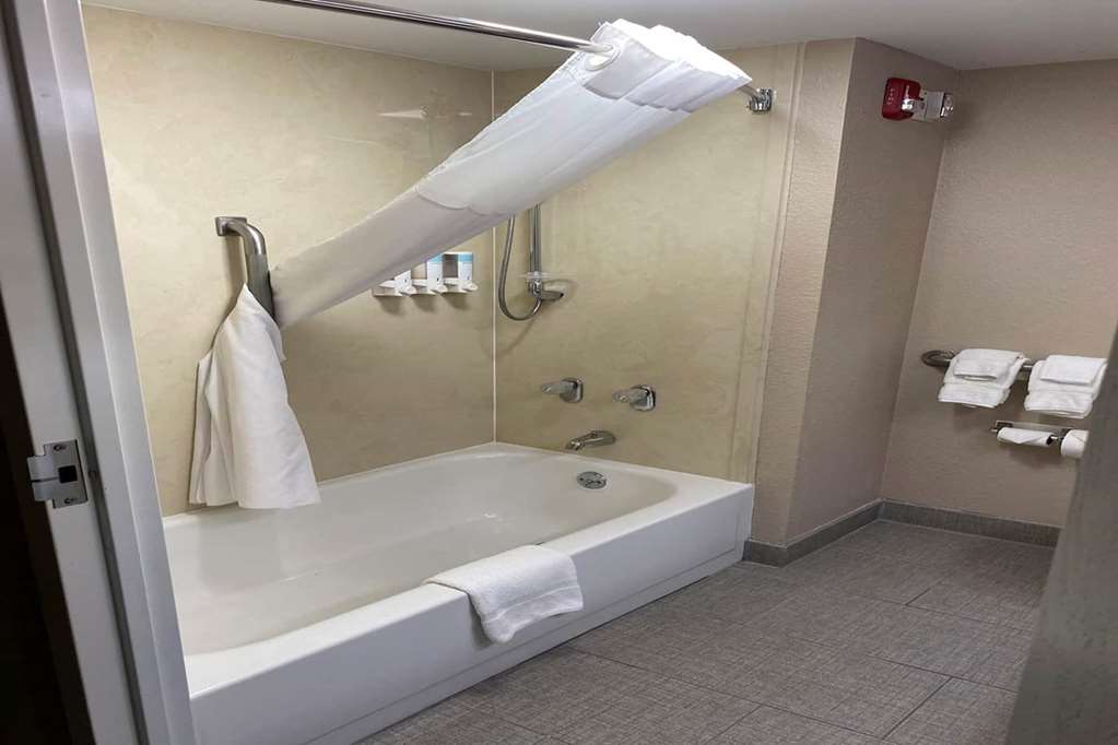 BAYMONT BY WYNDHAM MCALLEN-guestroom-Guest Room,Bathroom,On-Site.jpg