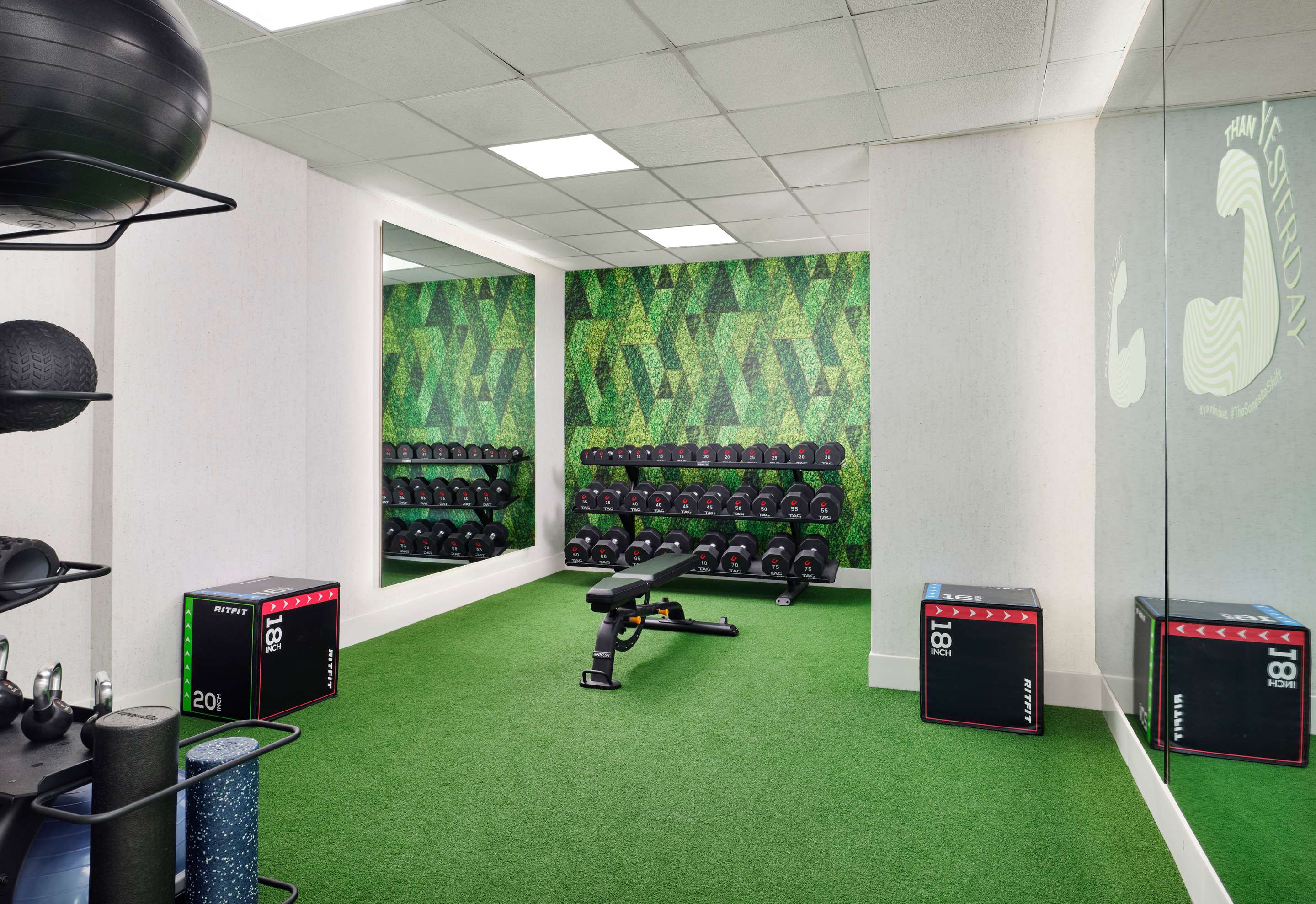 SHR WhitePlains Amenity FitnessCenter Weights