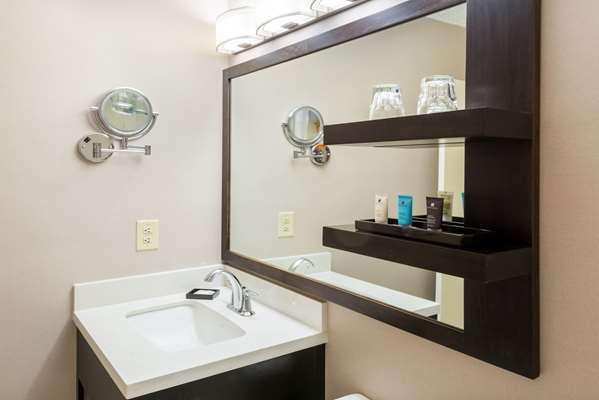  - Sonesta Hotel Airport North Atlanta - I-85, Exit 73