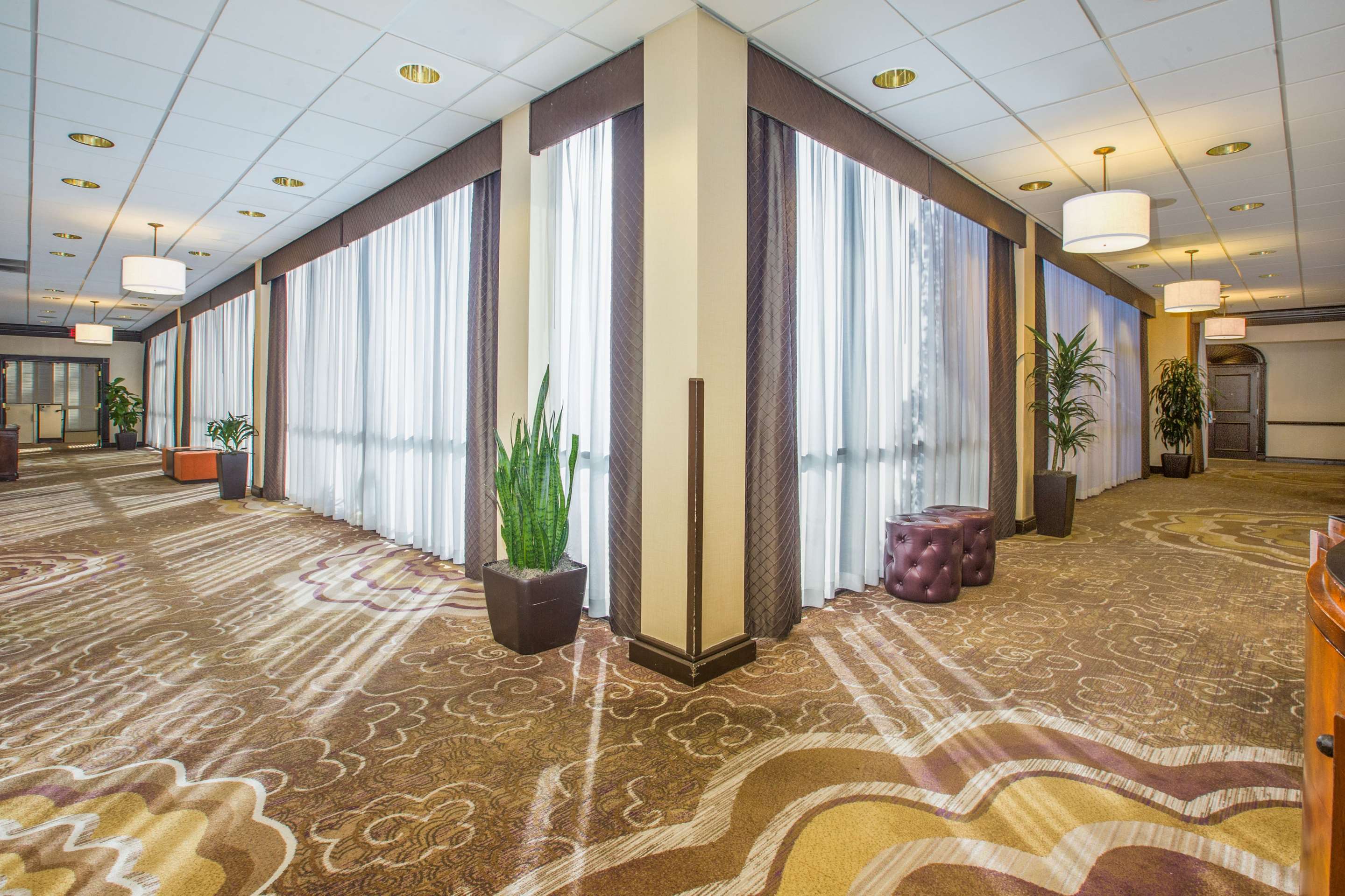 Pre function Area