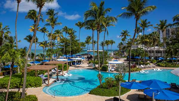 Pool - Royal Sonesta Hotel Isla Verde San Juan