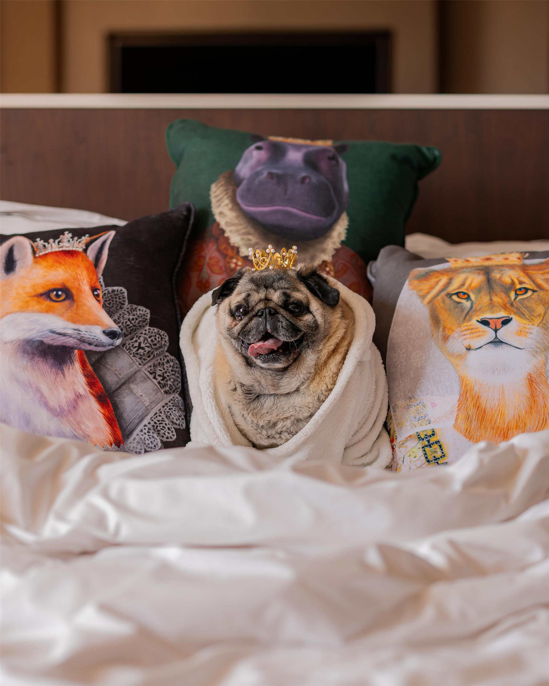 Long Live the Guest at The Royal Sonesta | The Stephen F Austin Royal Sonesta Hotel