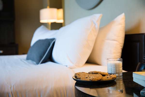  - Royal Sonesta Hotel Chicago River North