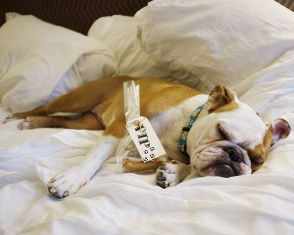  - Allegro Royal Sonesta Hotel West Loop Chicago