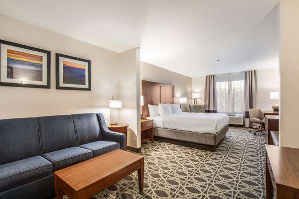 Suite - Comfort Inn & Suites Brevard