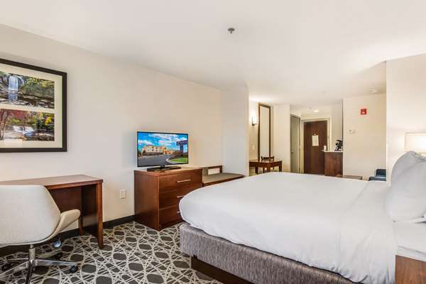 Suite - Comfort Inn & Suites Brevard