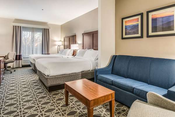 Suite - Comfort Inn & Suites Brevard