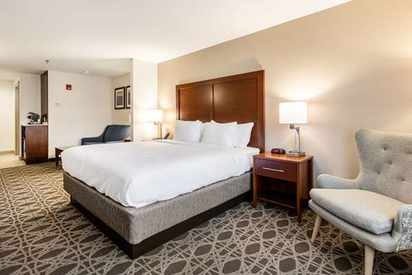 Suite - Comfort Inn & Suites Brevard