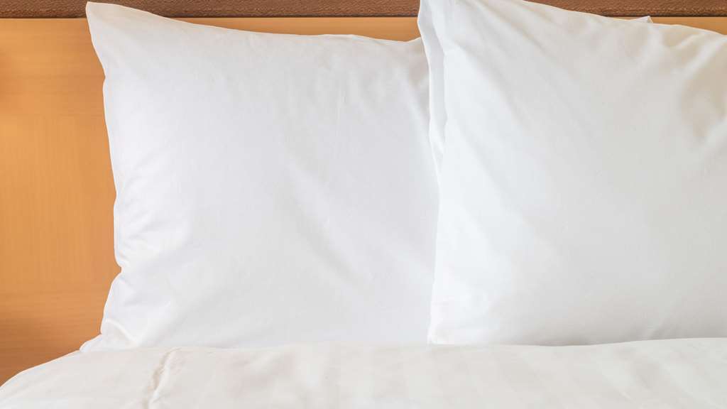 SSS KNOXVILLE-guestroom-Guest Room,Guest Room Amenity,On-Site.jpg