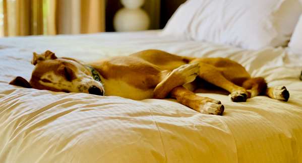  - Sonesta Simply Suites North Fossil Creek Fort Worth - I-820, Exit 18