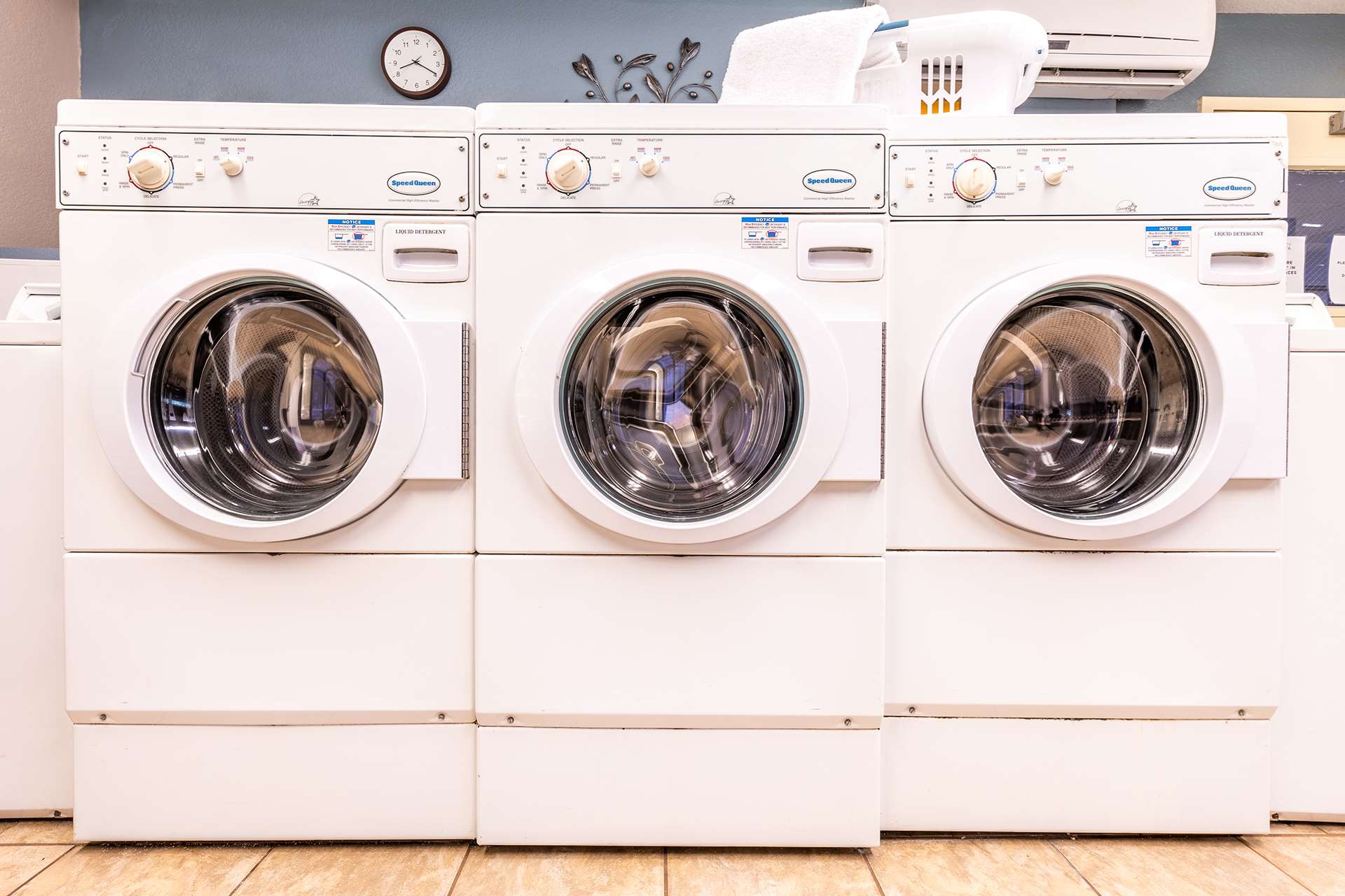 The Laundry