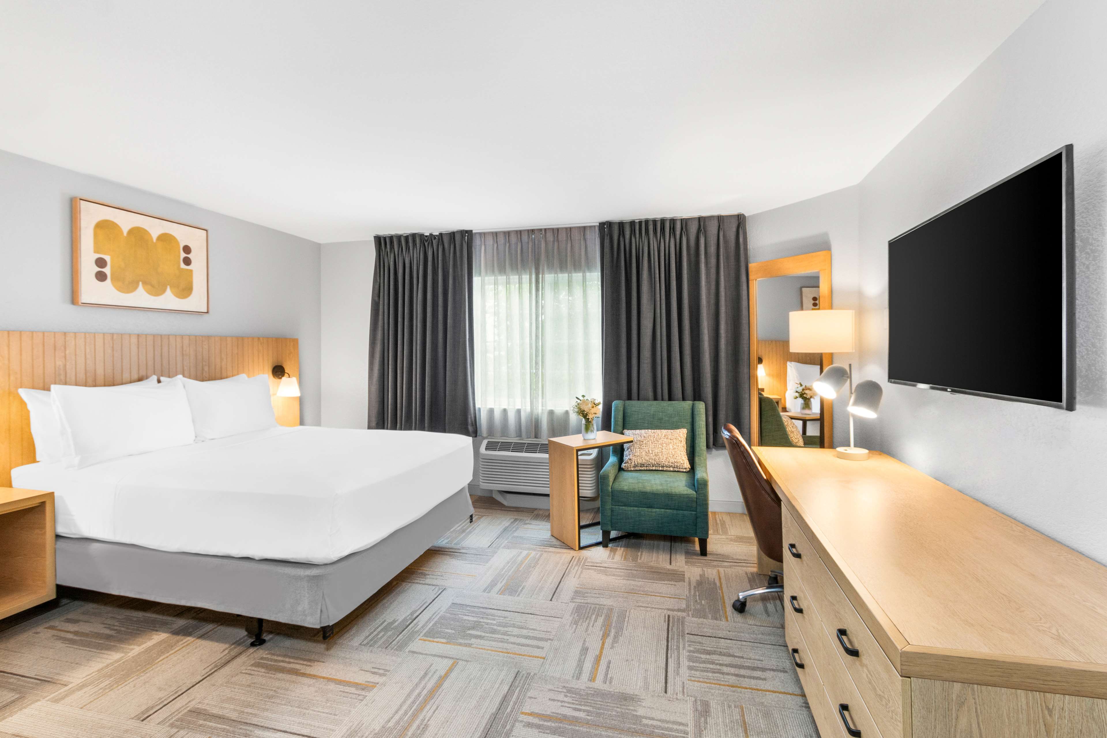 Studio Suite - King image