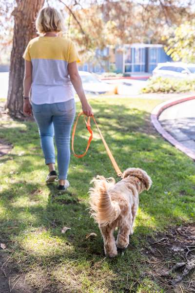  - Sonesta Simply Suites Lake Forest