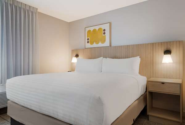 Suite - Sonesta Simply Suites Lake Forest