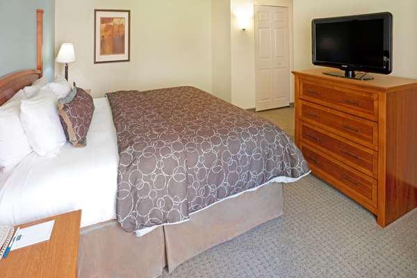 Suite - Sonesta ES Suites Las Colinas Irving