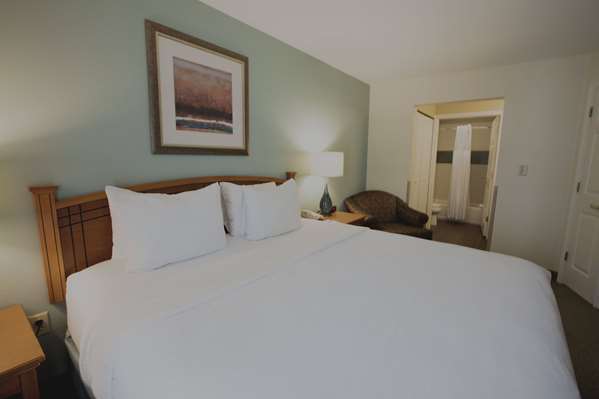 Suite - Sonesta ES Suites Arboretum Austin