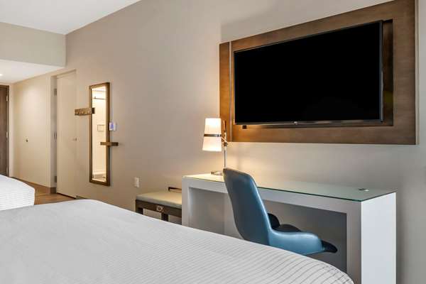 Suite - Cambria Hotel Airport Orlando