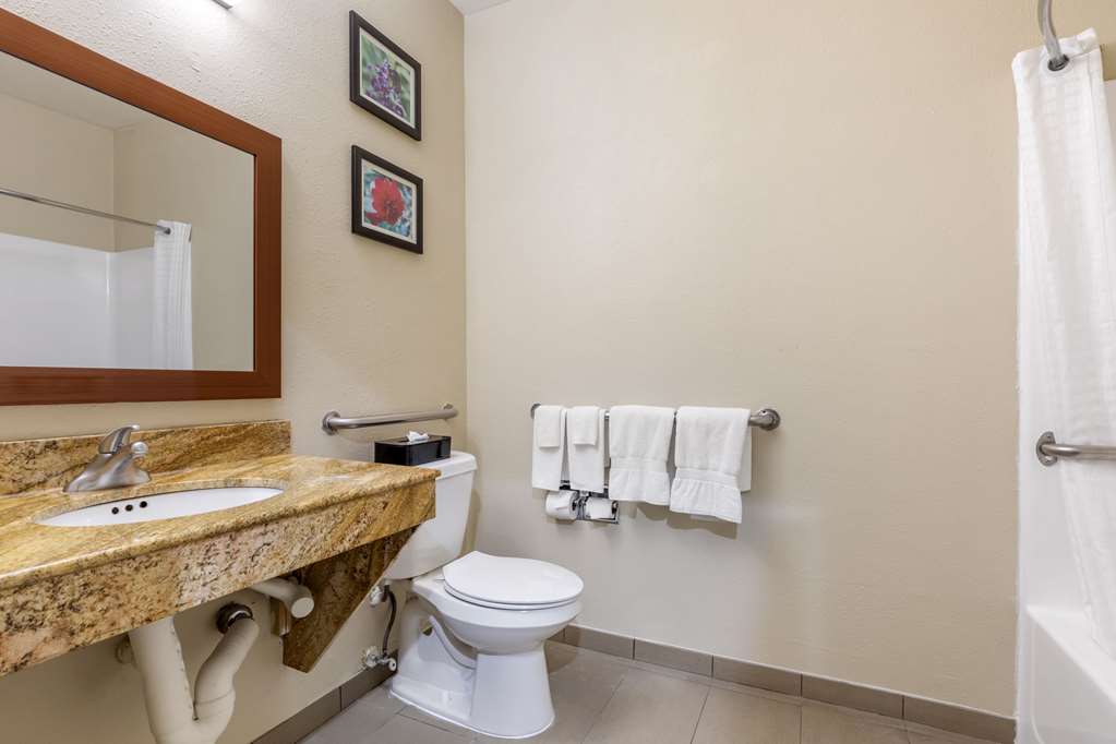 COMFORT INN & SUITES TEMPLE - MEDIC-guestroom-Guest Room,Bathroom,On-Site.jpg