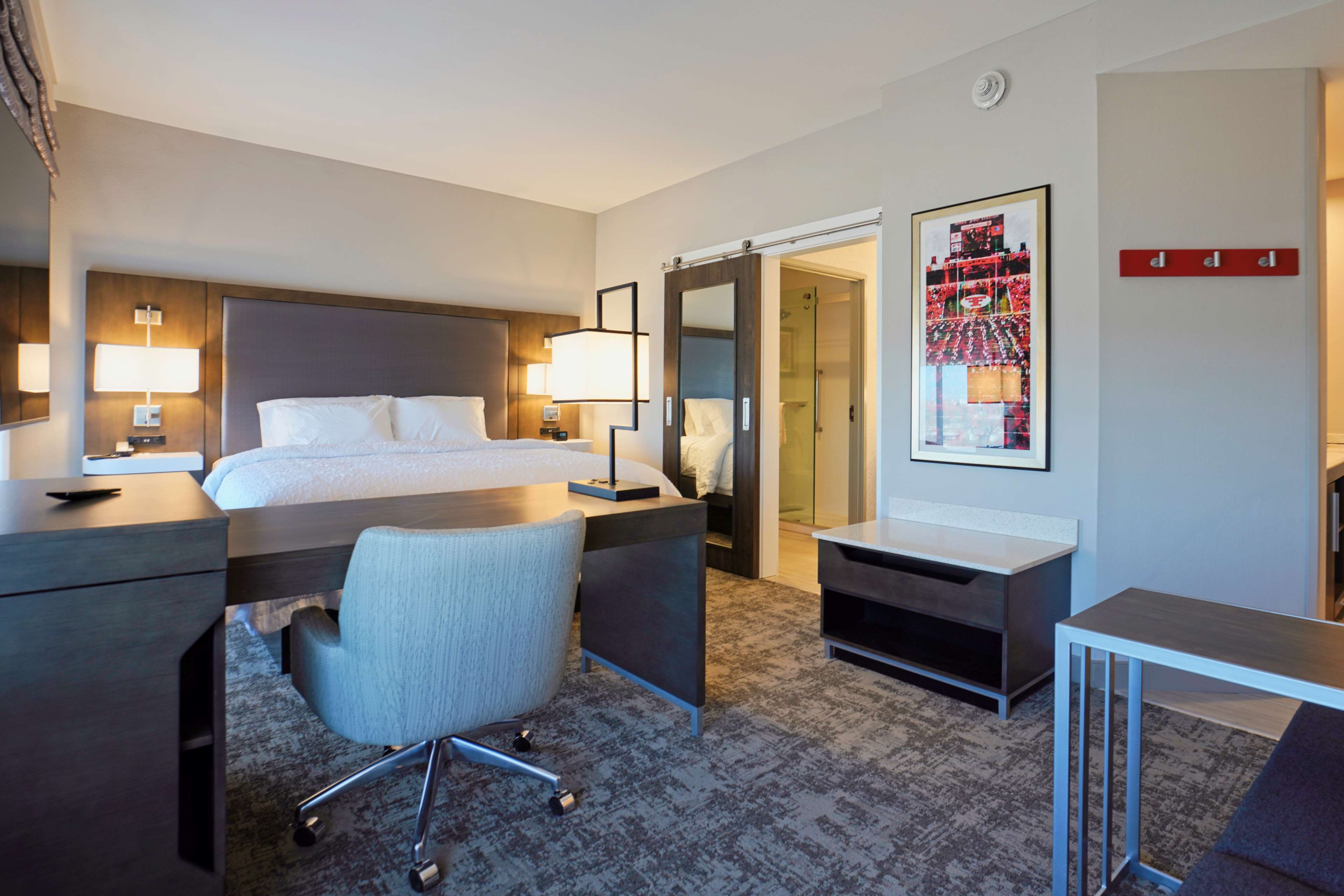 Hampton Inn & Suites Lubbock University, TX Room Type - 1KNG STUDIO MIC FRIDG WTBR