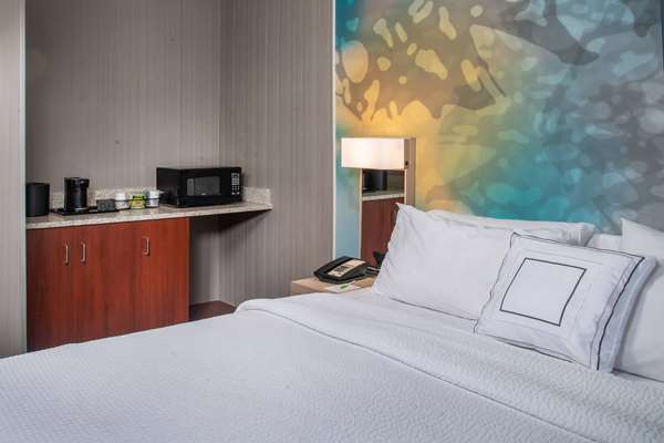 Suite - Sonesta Select Hotel I-85 Norcross - I-85, Exit 99
