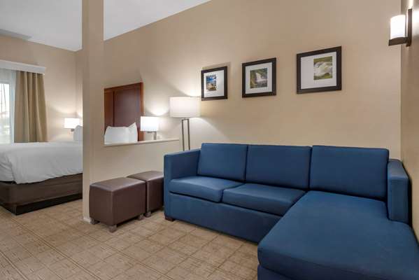 Suite - Comfort Inn & Suites Mankato